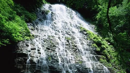 节能智慧